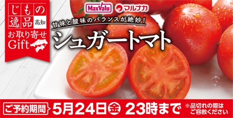 高知県産（JA高知県）　シュガートマト