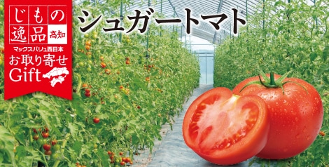 じもの逸品【高知】シュガートマト