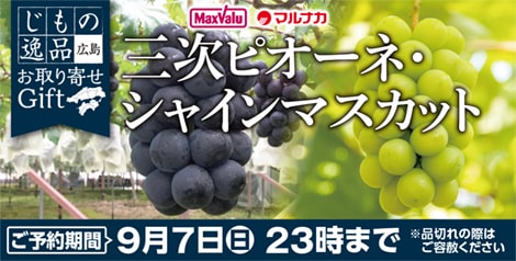 広島県産　三次ピオーネ・シャインマスカット