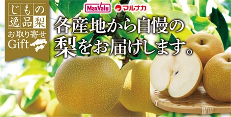 各産地から自慢の梨をお届けします。