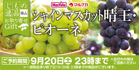 岡山県産　ピオーネ・シャインマスカット