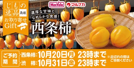 島根県産 西条柿・渋柿(つるし柿用)